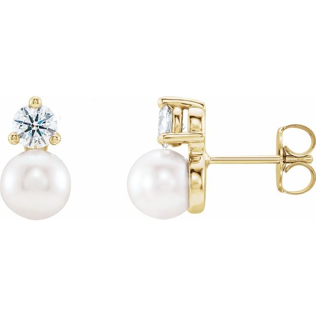Accented Pearl Earrings