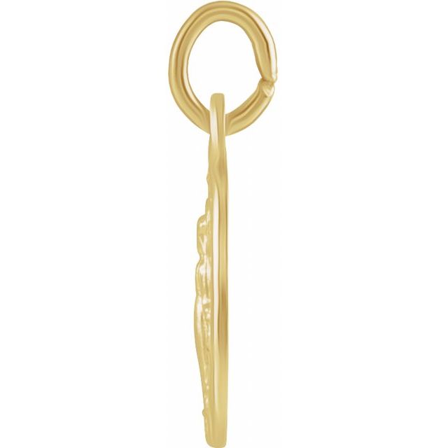 Miraculous Necklace or Medal